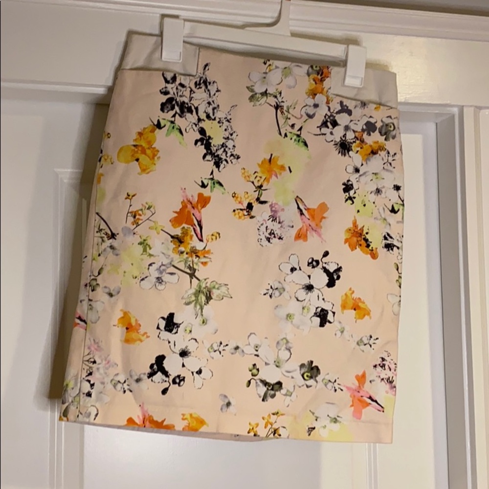 Pastel Pencil Skirt